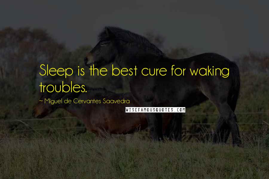 Miguel De Cervantes Saavedra Quotes: Sleep is the best cure for waking troubles.