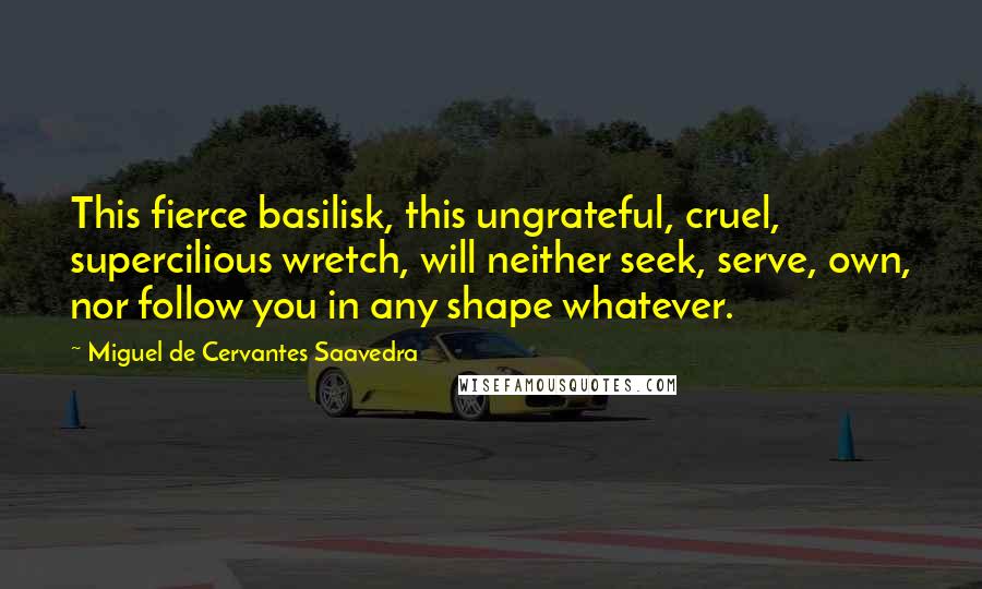 Miguel De Cervantes Saavedra Quotes: This fierce basilisk, this ungrateful, cruel, supercilious wretch, will neither seek, serve, own, nor follow you in any shape whatever.