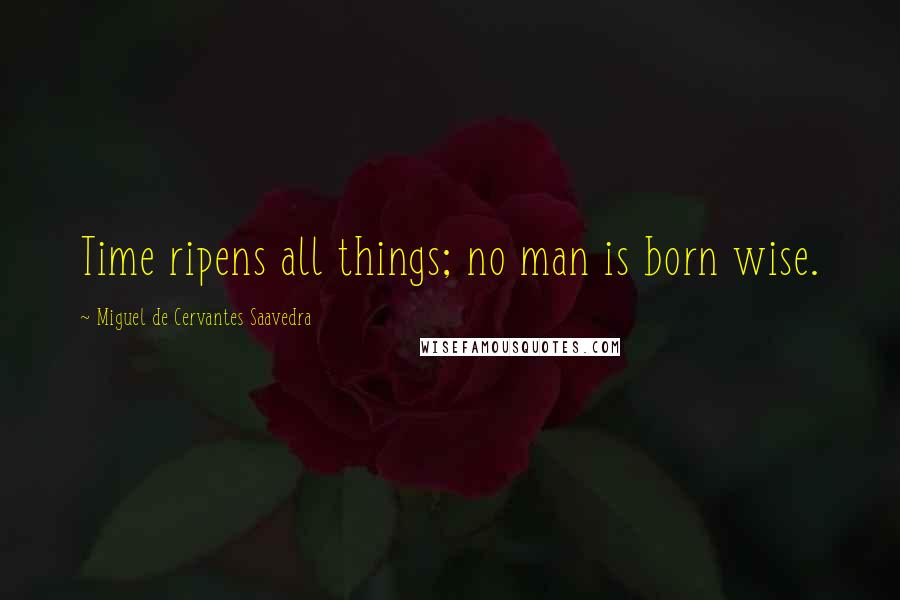 Miguel De Cervantes Saavedra Quotes: Time ripens all things; no man is born wise.