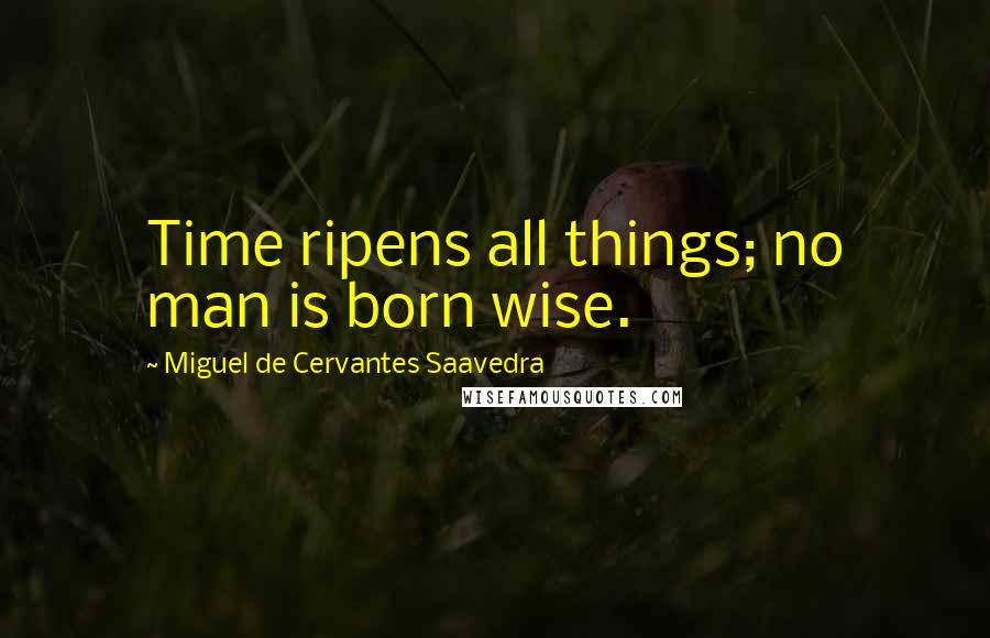 Miguel De Cervantes Saavedra Quotes: Time ripens all things; no man is born wise.