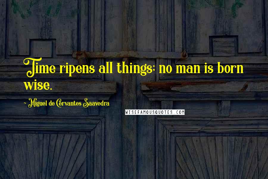 Miguel De Cervantes Saavedra Quotes: Time ripens all things; no man is born wise.