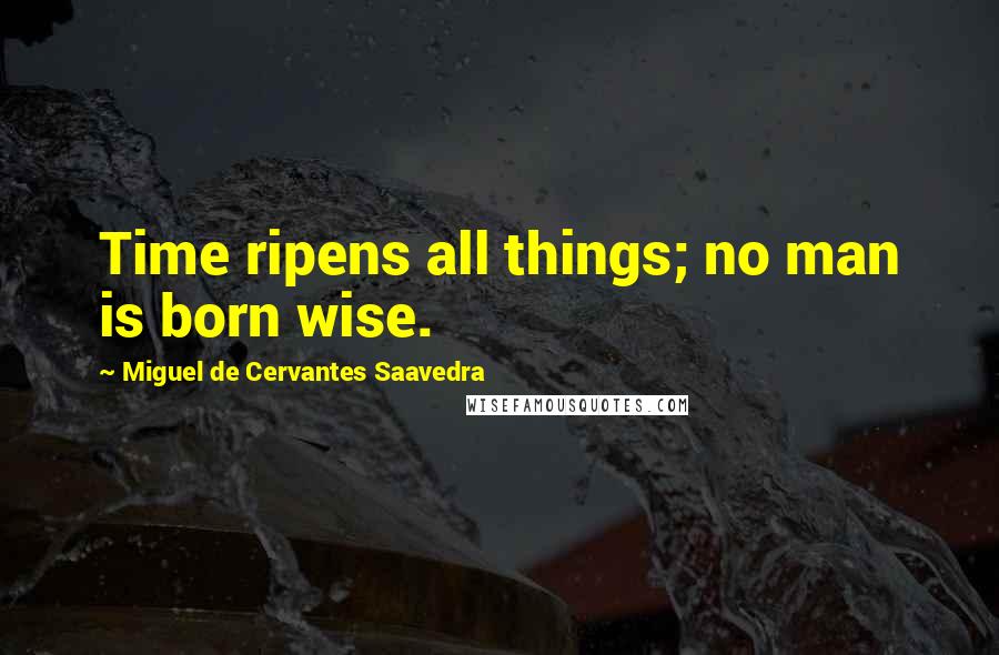 Miguel De Cervantes Saavedra Quotes: Time ripens all things; no man is born wise.