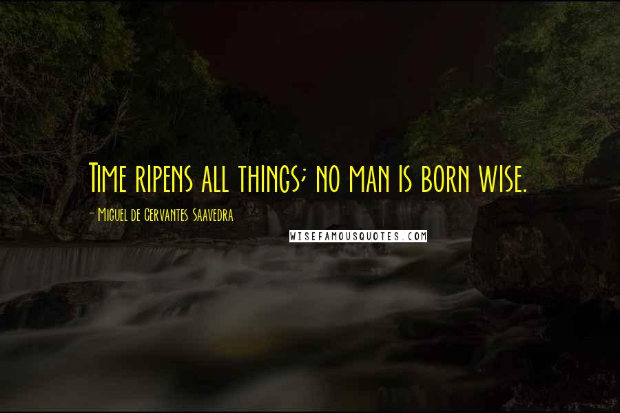 Miguel De Cervantes Saavedra Quotes: Time ripens all things; no man is born wise.