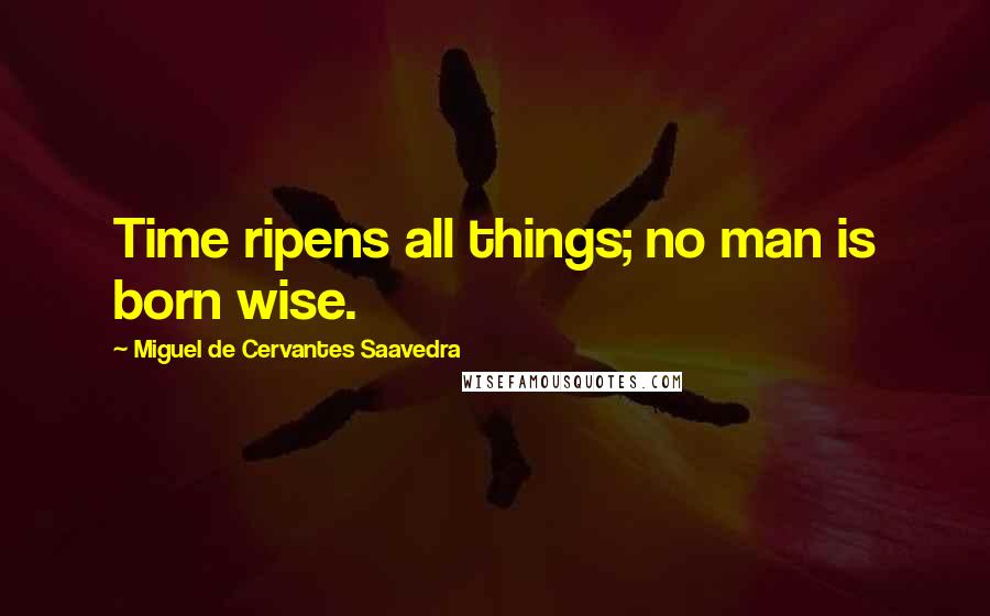 Miguel De Cervantes Saavedra Quotes: Time ripens all things; no man is born wise.