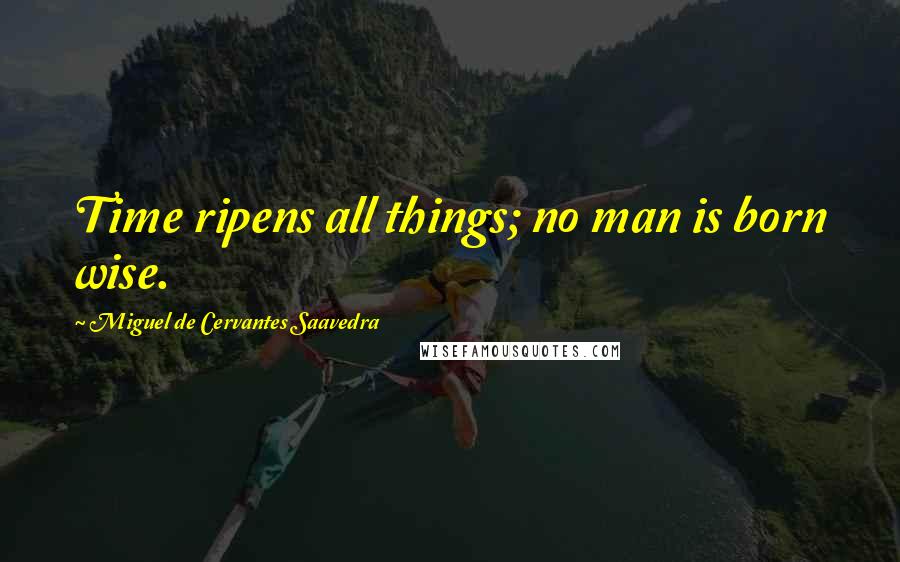 Miguel De Cervantes Saavedra Quotes: Time ripens all things; no man is born wise.