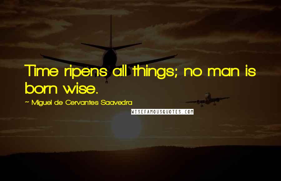 Miguel De Cervantes Saavedra Quotes: Time ripens all things; no man is born wise.