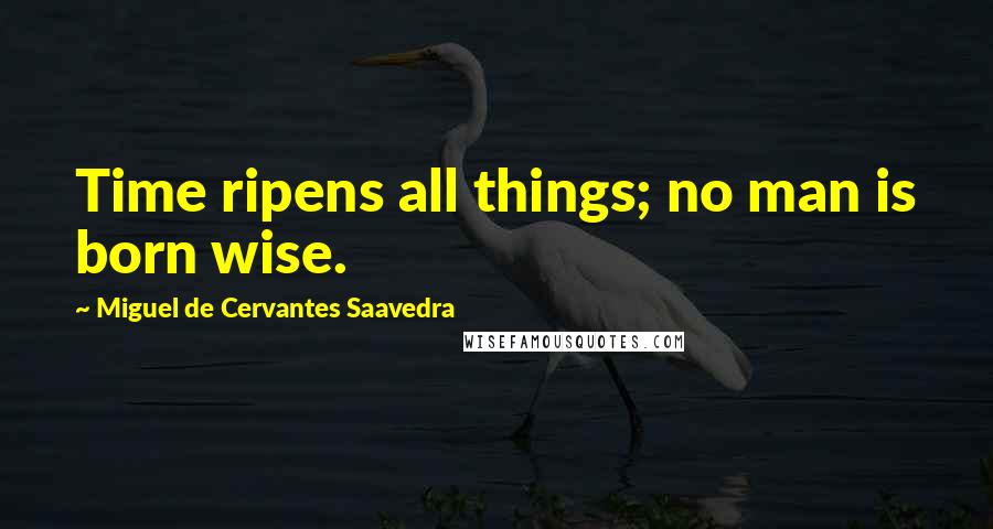 Miguel De Cervantes Saavedra Quotes: Time ripens all things; no man is born wise.