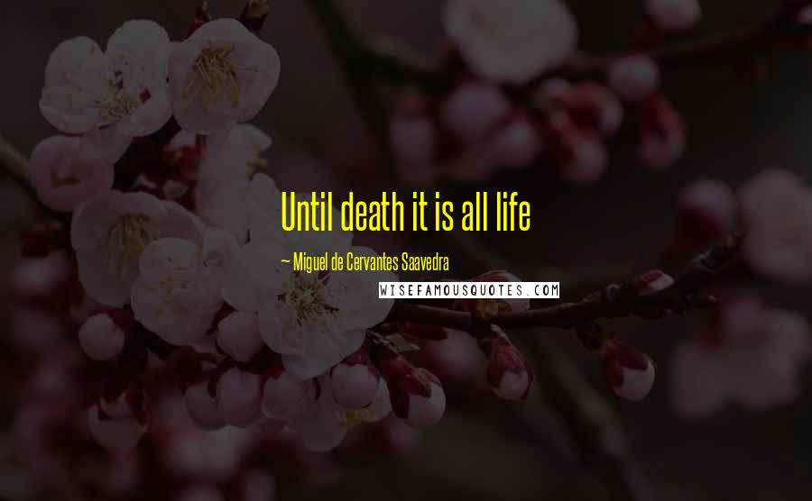 Miguel De Cervantes Saavedra Quotes: Until death it is all life