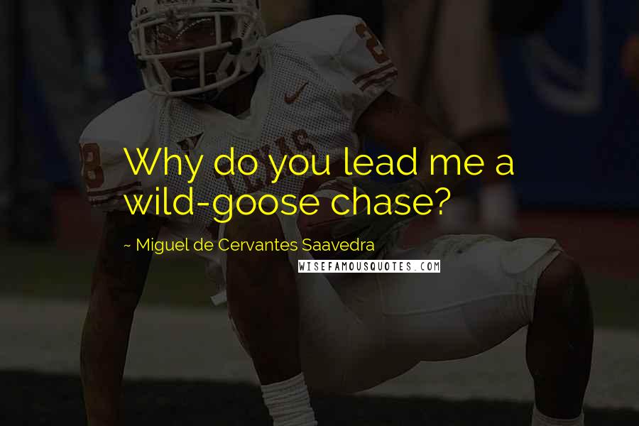 Miguel De Cervantes Saavedra Quotes: Why do you lead me a wild-goose chase?