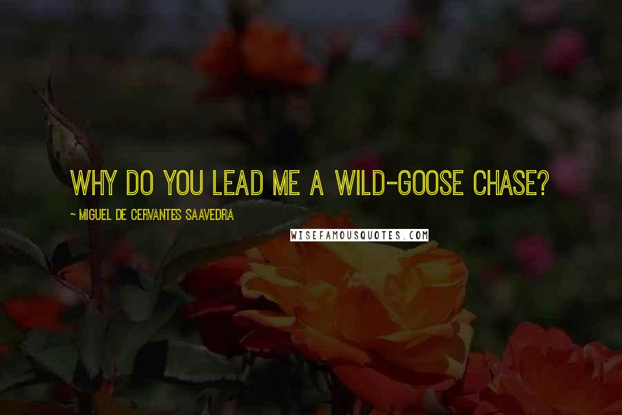 Miguel De Cervantes Saavedra Quotes: Why do you lead me a wild-goose chase?