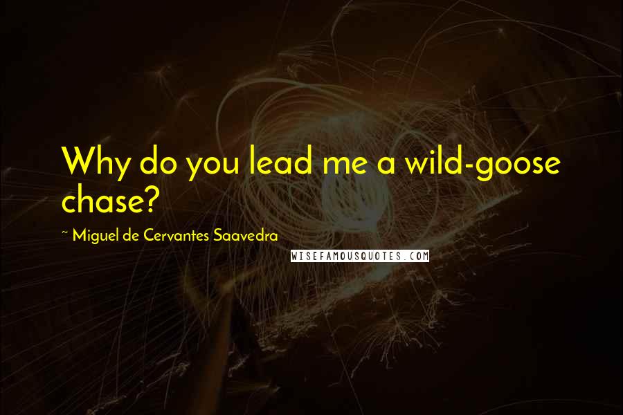 Miguel De Cervantes Saavedra Quotes: Why do you lead me a wild-goose chase?