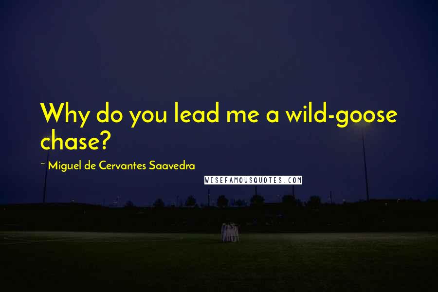 Miguel De Cervantes Saavedra Quotes: Why do you lead me a wild-goose chase?