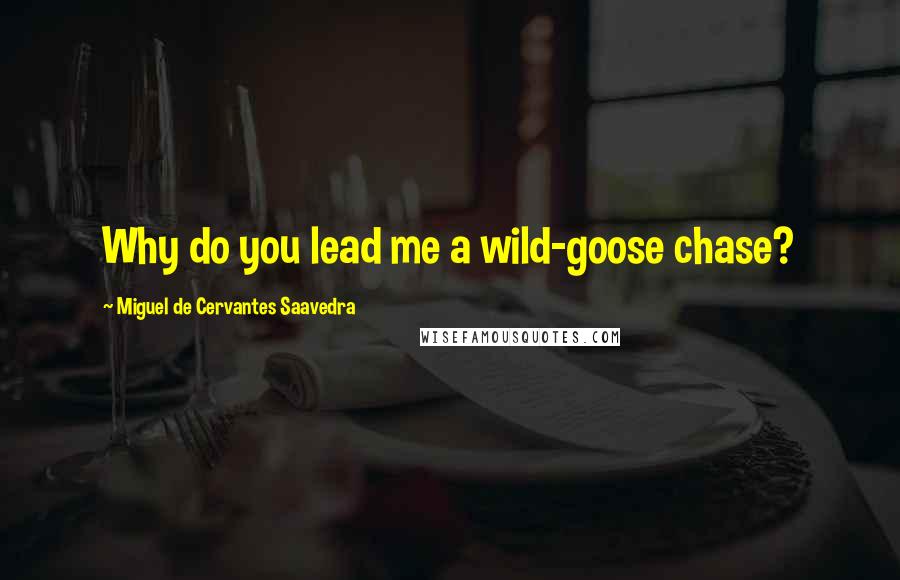 Miguel De Cervantes Saavedra Quotes: Why do you lead me a wild-goose chase?