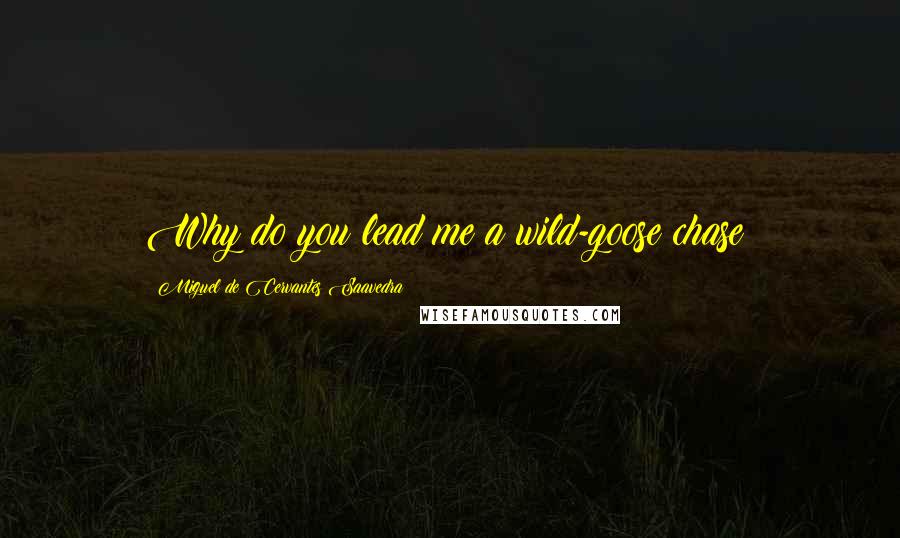 Miguel De Cervantes Saavedra Quotes: Why do you lead me a wild-goose chase?