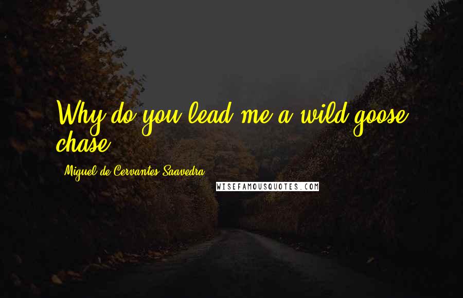 Miguel De Cervantes Saavedra Quotes: Why do you lead me a wild-goose chase?