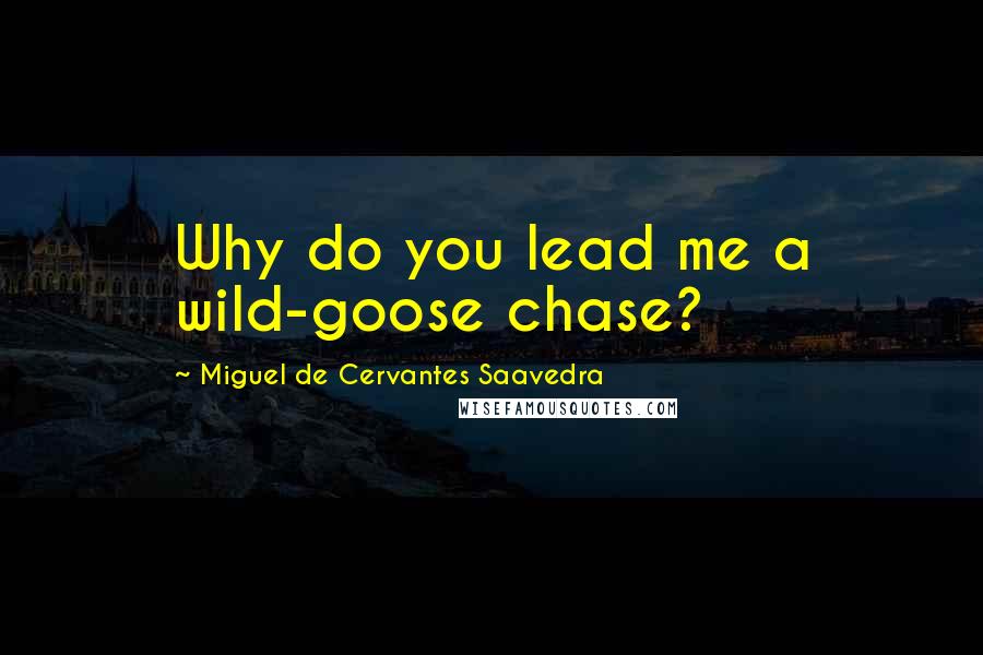 Miguel De Cervantes Saavedra Quotes: Why do you lead me a wild-goose chase?