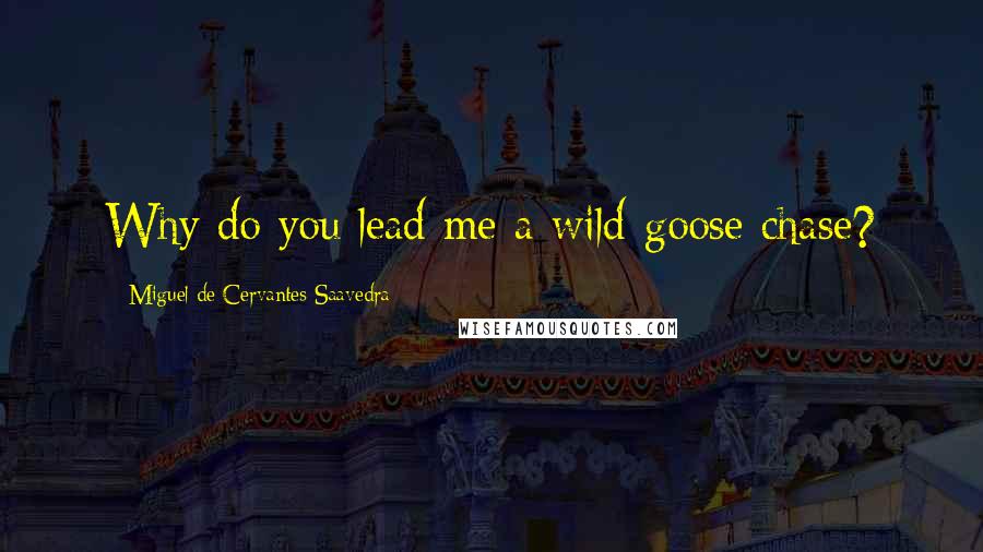 Miguel De Cervantes Saavedra Quotes: Why do you lead me a wild-goose chase?