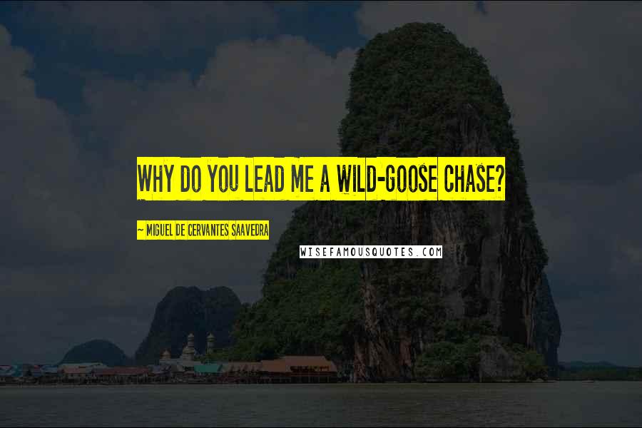 Miguel De Cervantes Saavedra Quotes: Why do you lead me a wild-goose chase?