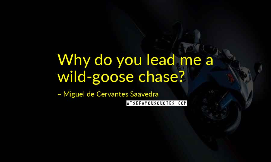 Miguel De Cervantes Saavedra Quotes: Why do you lead me a wild-goose chase?