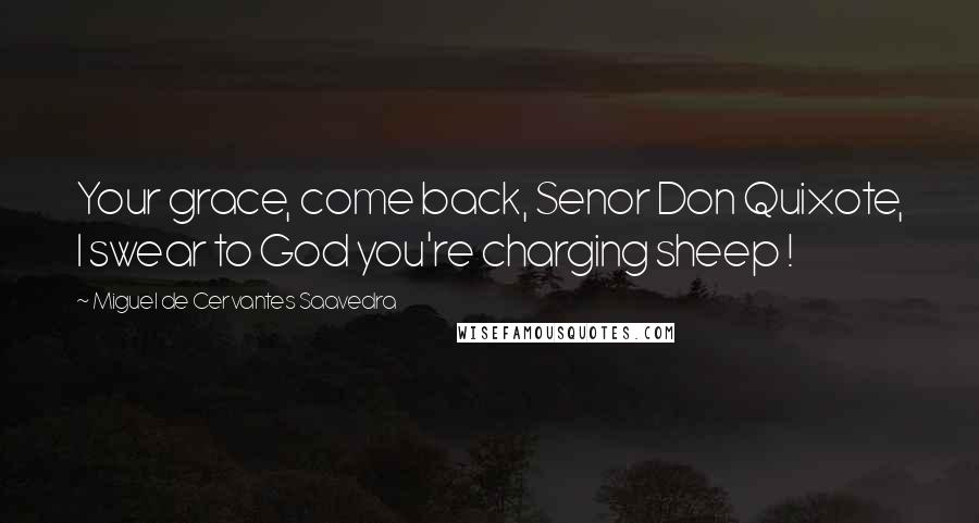 Miguel De Cervantes Saavedra Quotes: Your grace, come back, Senor Don Quixote, I swear to God you're charging sheep !