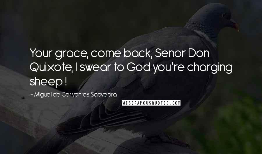 Miguel De Cervantes Saavedra Quotes: Your grace, come back, Senor Don Quixote, I swear to God you're charging sheep !