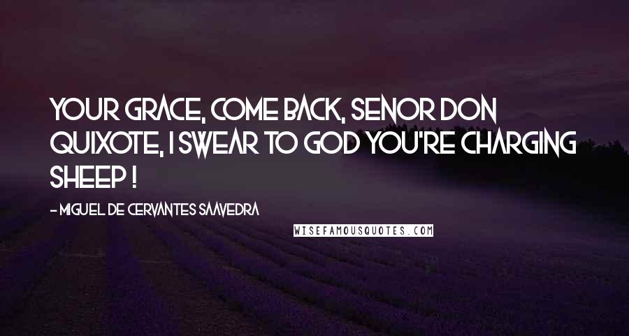 Miguel De Cervantes Saavedra Quotes: Your grace, come back, Senor Don Quixote, I swear to God you're charging sheep !