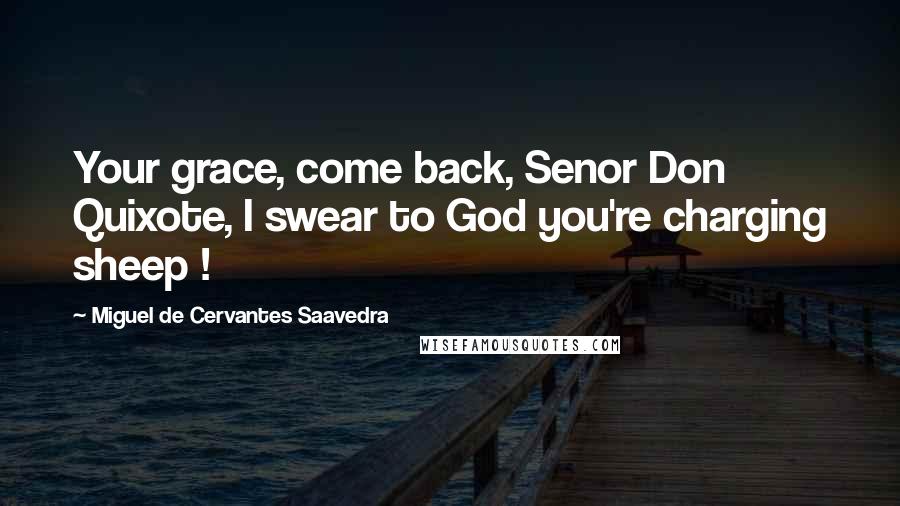 Miguel De Cervantes Saavedra Quotes: Your grace, come back, Senor Don Quixote, I swear to God you're charging sheep !