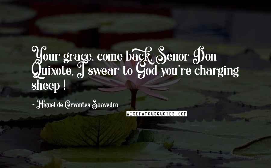 Miguel De Cervantes Saavedra Quotes: Your grace, come back, Senor Don Quixote, I swear to God you're charging sheep !