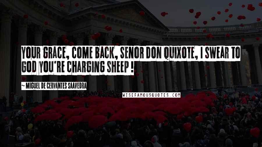 Miguel De Cervantes Saavedra Quotes: Your grace, come back, Senor Don Quixote, I swear to God you're charging sheep !