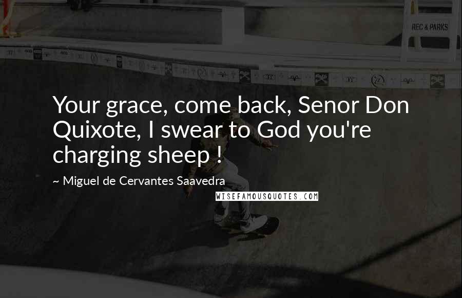 Miguel De Cervantes Saavedra Quotes: Your grace, come back, Senor Don Quixote, I swear to God you're charging sheep !