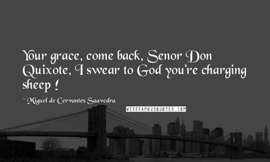 Miguel De Cervantes Saavedra Quotes: Your grace, come back, Senor Don Quixote, I swear to God you're charging sheep !