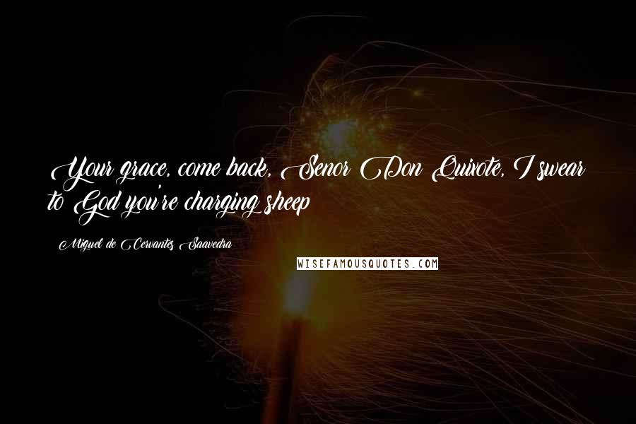 Miguel De Cervantes Saavedra Quotes: Your grace, come back, Senor Don Quixote, I swear to God you're charging sheep !