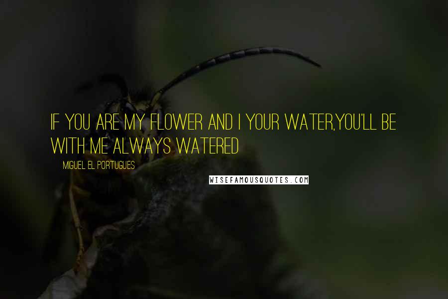 Miguel El Portugues Quotes: If you are my flower and I your water,you'll be with me always watered