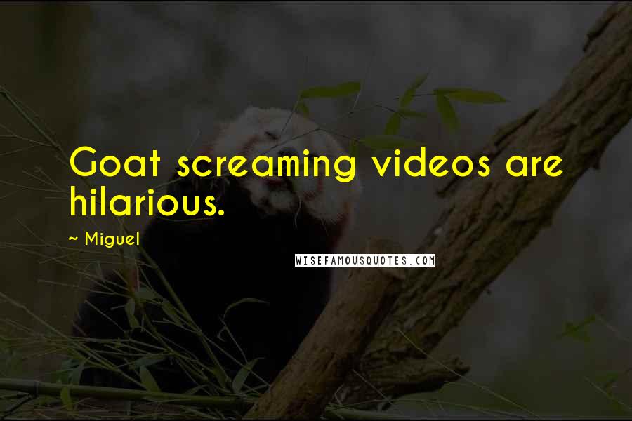 Miguel Quotes: Goat screaming videos are hilarious.