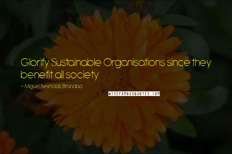 Miguel Reynolds Brandao Quotes: Glorify Sustainable Organisations since they benefit all society