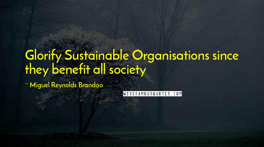 Miguel Reynolds Brandao Quotes: Glorify Sustainable Organisations since they benefit all society