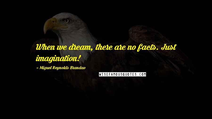 Miguel Reynolds Brandao Quotes: When we dream, there are no facts. Just imagination!