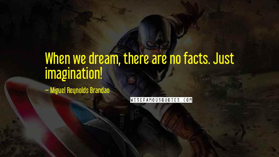 Miguel Reynolds Brandao Quotes: When we dream, there are no facts. Just imagination!