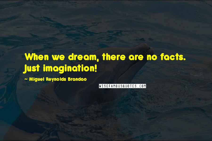 Miguel Reynolds Brandao Quotes: When we dream, there are no facts. Just imagination!