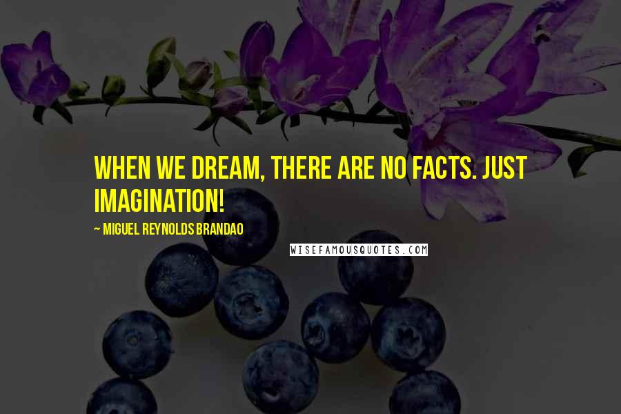 Miguel Reynolds Brandao Quotes: When we dream, there are no facts. Just imagination!