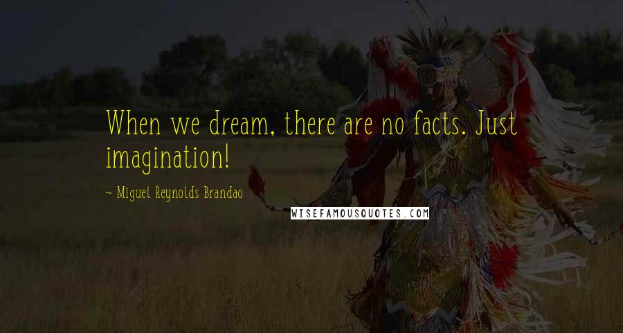 Miguel Reynolds Brandao Quotes: When we dream, there are no facts. Just imagination!