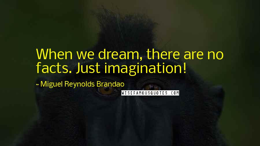 Miguel Reynolds Brandao Quotes: When we dream, there are no facts. Just imagination!