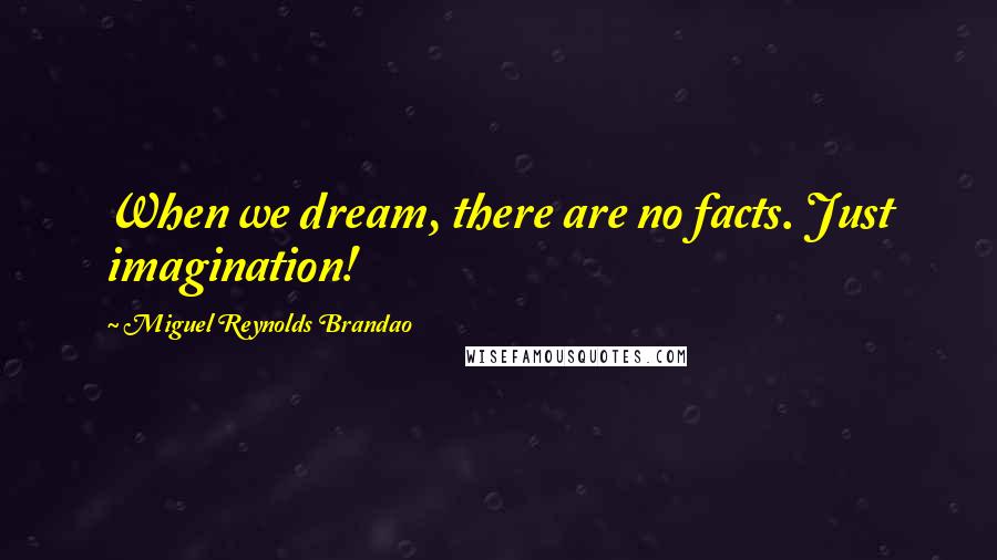 Miguel Reynolds Brandao Quotes: When we dream, there are no facts. Just imagination!