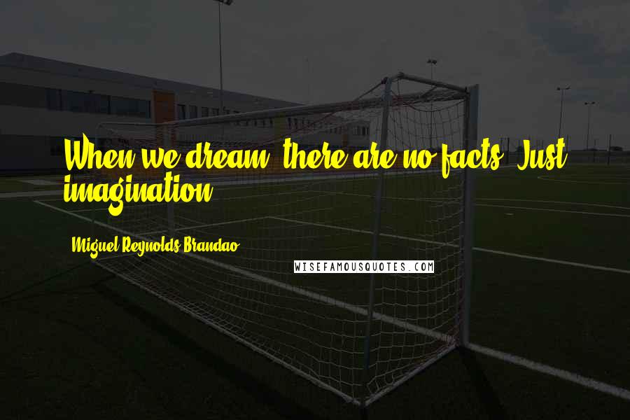 Miguel Reynolds Brandao Quotes: When we dream, there are no facts. Just imagination!