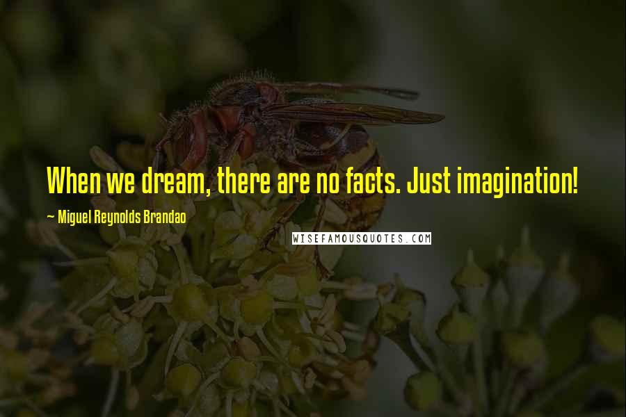 Miguel Reynolds Brandao Quotes: When we dream, there are no facts. Just imagination!