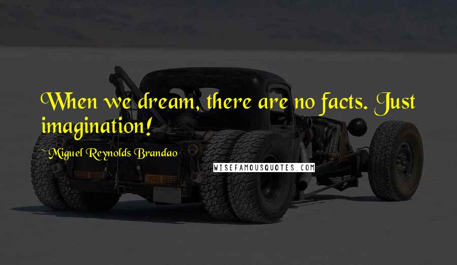 Miguel Reynolds Brandao Quotes: When we dream, there are no facts. Just imagination!