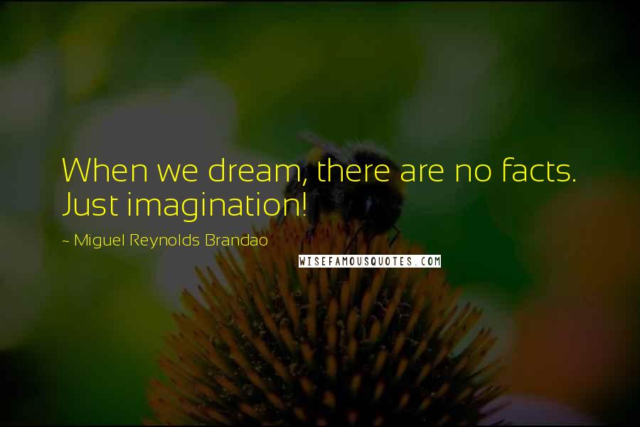 Miguel Reynolds Brandao Quotes: When we dream, there are no facts. Just imagination!