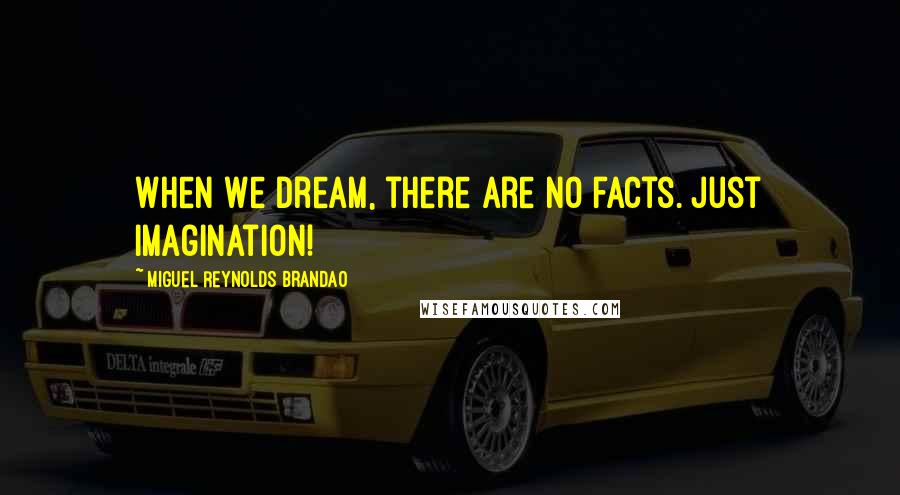 Miguel Reynolds Brandao Quotes: When we dream, there are no facts. Just imagination!