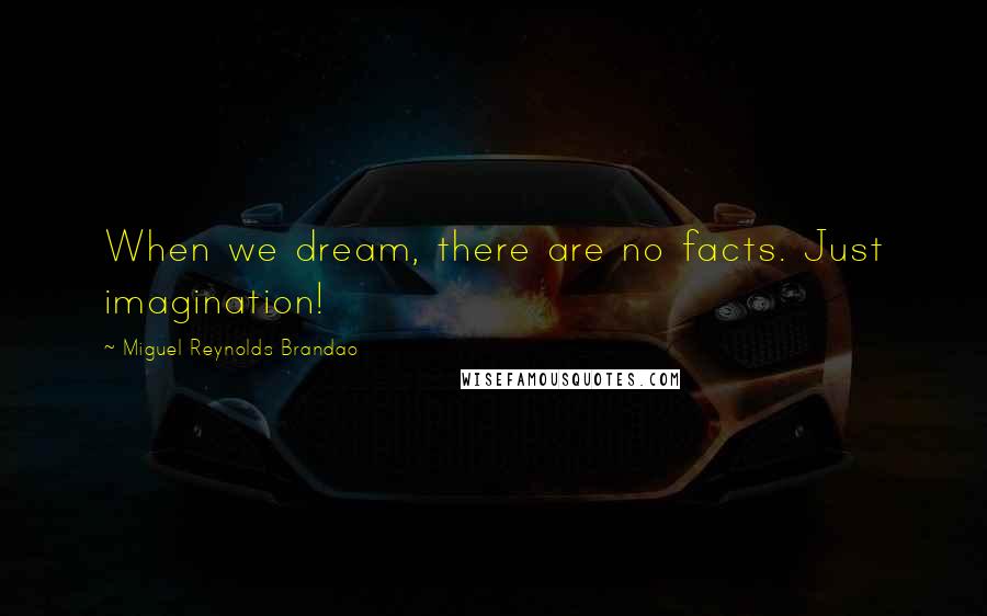 Miguel Reynolds Brandao Quotes: When we dream, there are no facts. Just imagination!