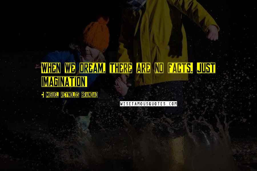 Miguel Reynolds Brandao Quotes: When we dream, there are no facts. Just imagination!